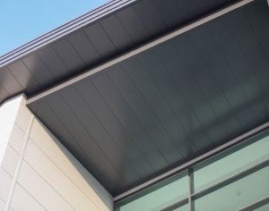 IMG_0890_JAN16-300x236