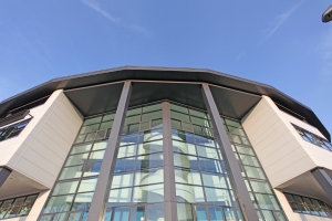 IMG_0898-shadows-300x200