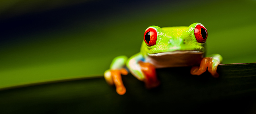 aluminium sustainability